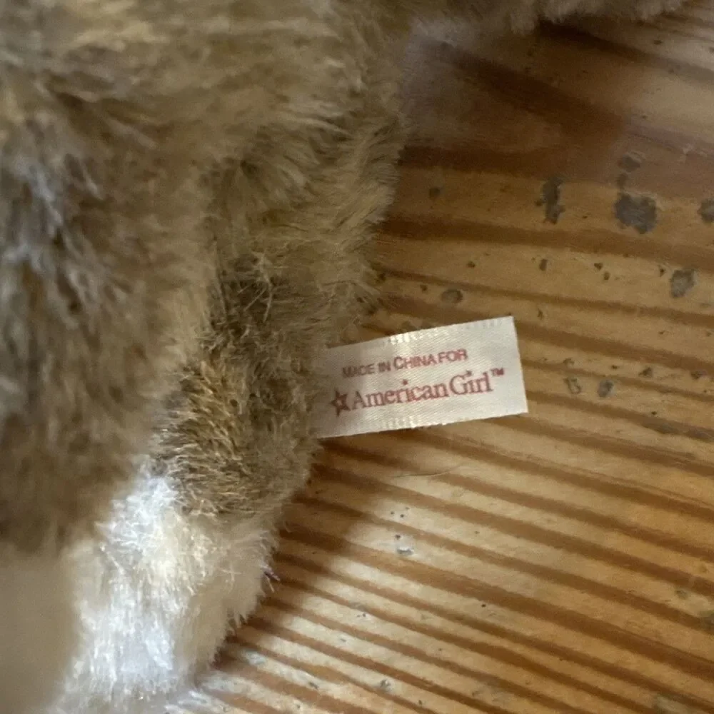 American Girl Kaya's Wolf Dog Tatlo 11
